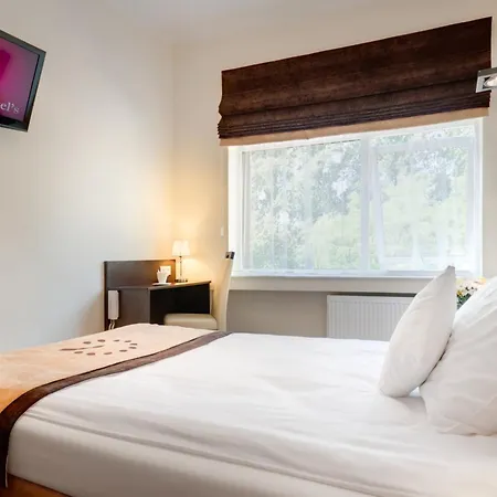 Boutique Hotel's ソスノヴィエツ